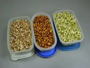 मूंग-चना-मोठ अंकुरित करके स्टोर करें व इससे प्रोटीन सलाद बनायें-टिप्स के साथ How to Sprout beans